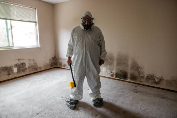Best Mold Testing  in Stony Prairie, OH